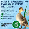 Lundberg Organic Rice Cake Minis Sea Salt - Organic Whole Grain Brown Rice, Gluten Free, 6 - Image 5