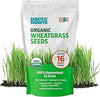 Back to the Roots 100% Organic Wheatgrass Seeds | 1 Pound Non-GMO | Nutrient Dense, Easy to Grow | Cat Grass Planter Seeds