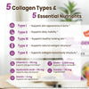 Vev Multi Collagen Peptides Powder, Types I, II, III, V & X, 41 Servings - Personal Care - Image 5