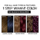 L'Oreal Paris Feria Midnight Bold Multi-Faceted Permanent One-Step Hair Color Kit, No Bleach Required, Twilight Haze