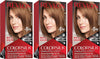 Revlon Colorsilk Beautiful Color, Permanent Hair Dye with Keratin, 100% Gray Coverage, Ammonia Free, 53 Light Golden Brown - Hair Color - Hair Care