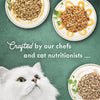 Purina Fancy Feast Wet Cat Food Variety Pack, Medleys White Meat Chicken in Sauce Collecti - Image 5