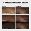 Revlon ColorSilk with Bond Repair Hair Color, 43 Medium Golden Brown, 3pk - Image 2