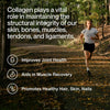 Momentous Grass-Fed Collagen Peptides Powder, Fortigel & Vitamin C - Image 3