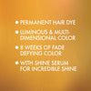 L'Oreal Paris Superior Preference Fade-Defying Color + Shine System, 10NB Ultra Natural Bl - Image 2