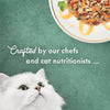 Purina Fancy Feast Medleys Wild Salmon Primavera (24 Pack) 3 oz - Image 5