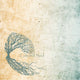 Cultured Soul Curtains and Drapes Panel in Chevron (48"X96" Ring Top, Teal)