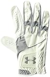 Under Armour Men's CoolSwitch Golf Glove, White /Steel, Right Hand Small