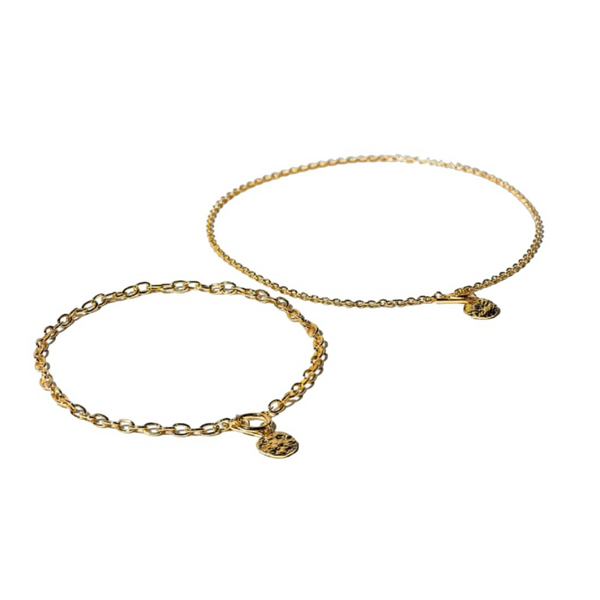 Charming Charlie 2-Layered Toggle Link Gold Necklace for Women: Embrace Simplicity with Front Clasp Ease, Exuding Stylish Boldness.